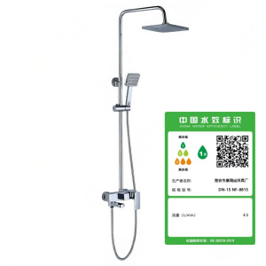 南方卫通 淋浴花洒套装 四档功能淋浴花洒 暗装全铜8819四档花洒NF-044 套