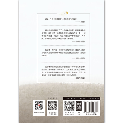 [M]致艾米丽的秘密手稿-9787541156403